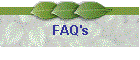 FAQ's